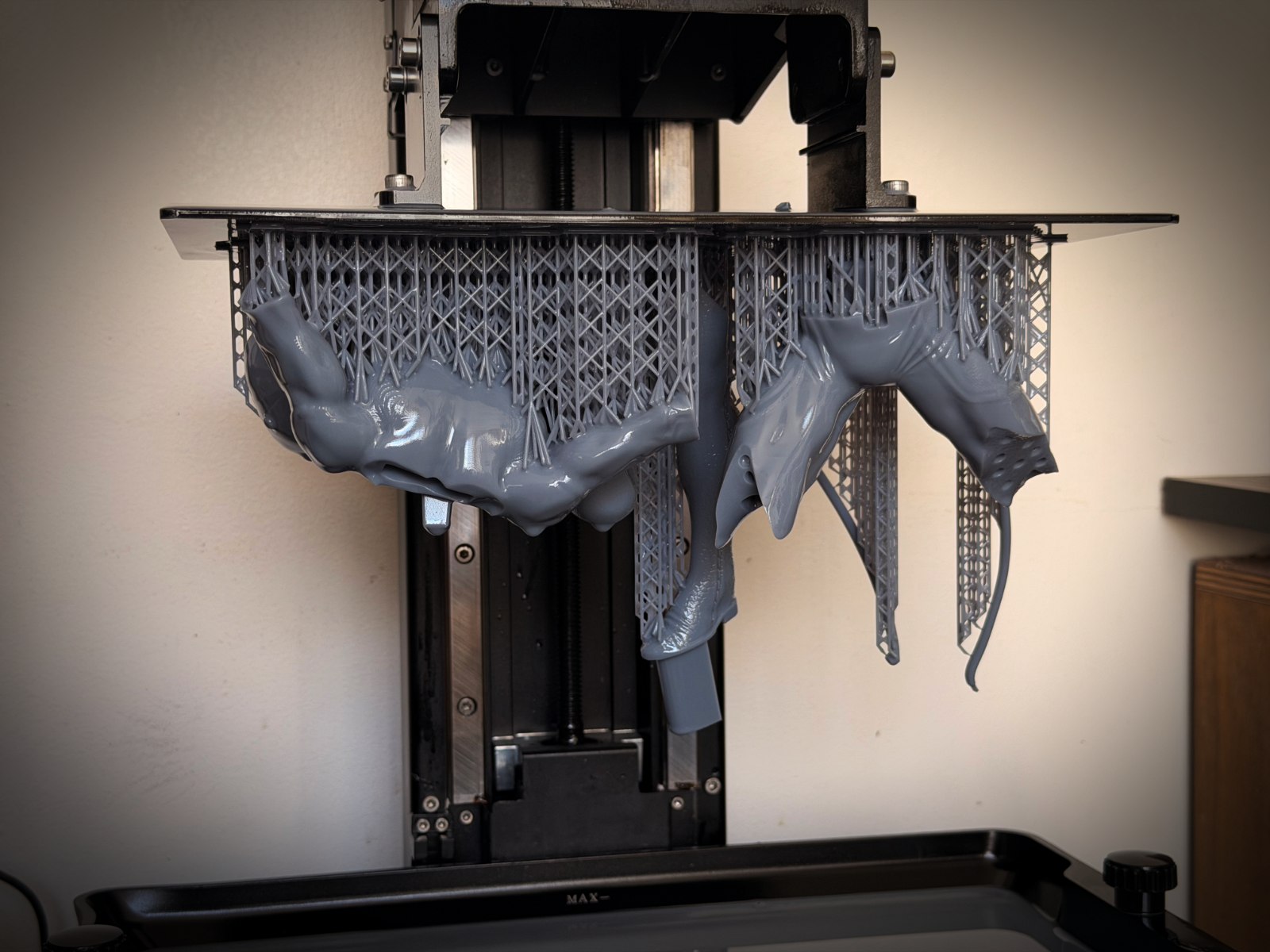 Pieza impresa en 3D con soportes dentro de la impresora.
